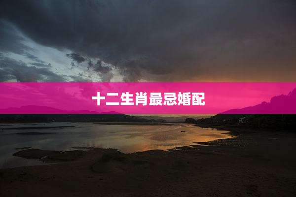 十二生肖最忌婚配