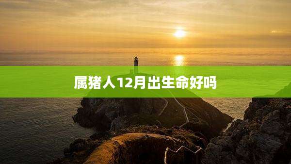 属猪人12月出生命好吗