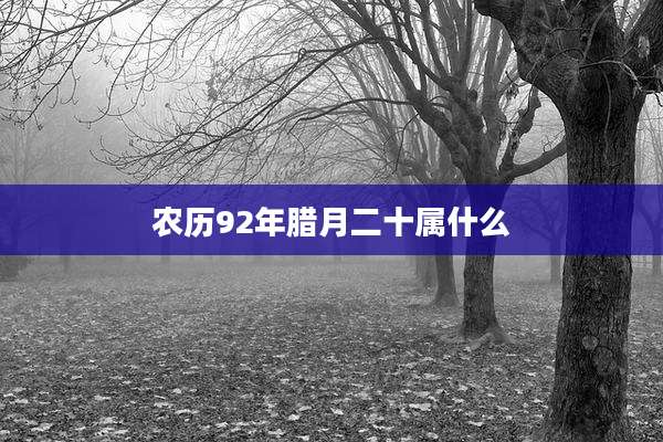 农历92年腊月二十属什么