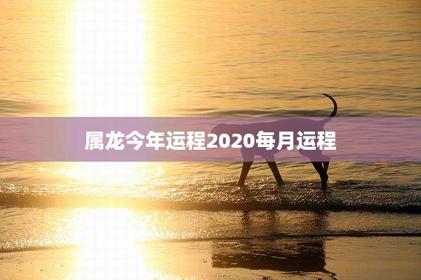 属龙今年运程2020每月运程