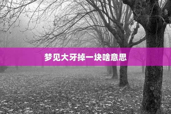 梦见大牙掉一块啥意思
