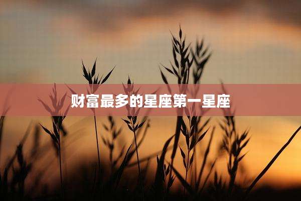 财富最多的星座第一星座