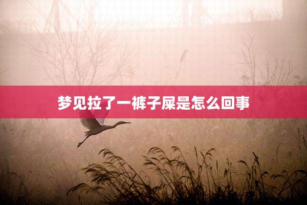 梦见拉了一裤子屎是怎么回事