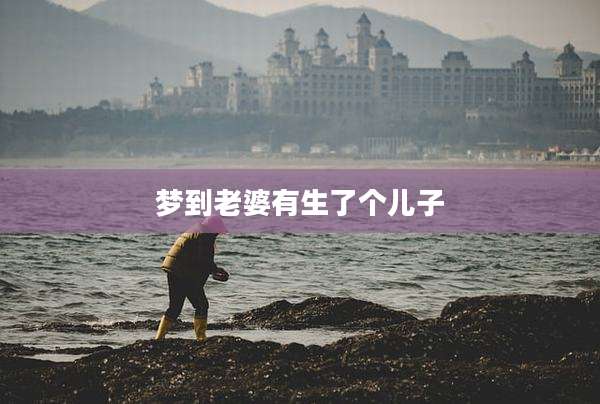梦到老婆有生了个儿子