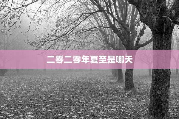 二零二零年夏至是哪天