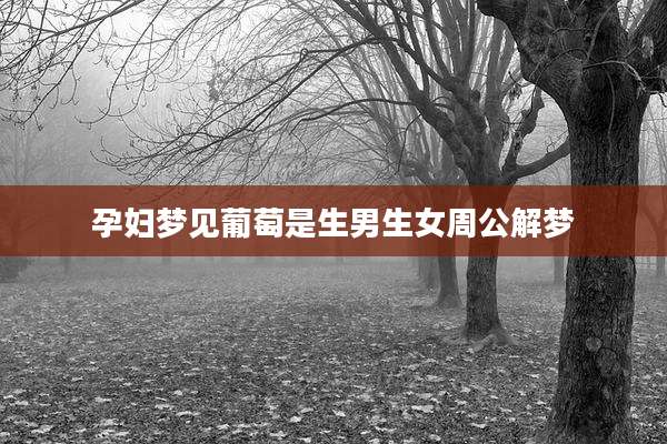 孕妇梦见葡萄是生男生女周公解梦