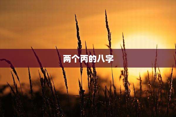 两个丙的八字
