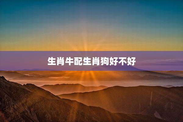生肖牛配生肖狗好不好