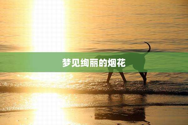 梦见绚丽的烟花