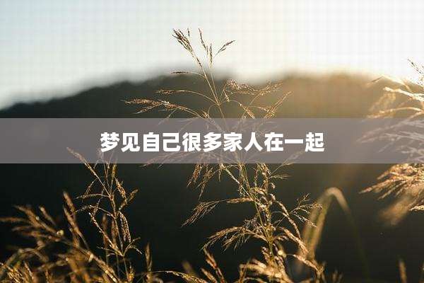 梦见自己很多家人在一起