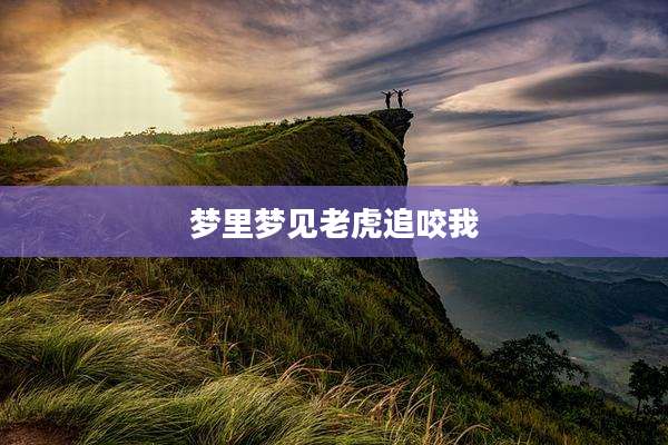梦里梦见老虎追咬我