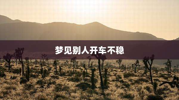 梦见别人开车不稳
