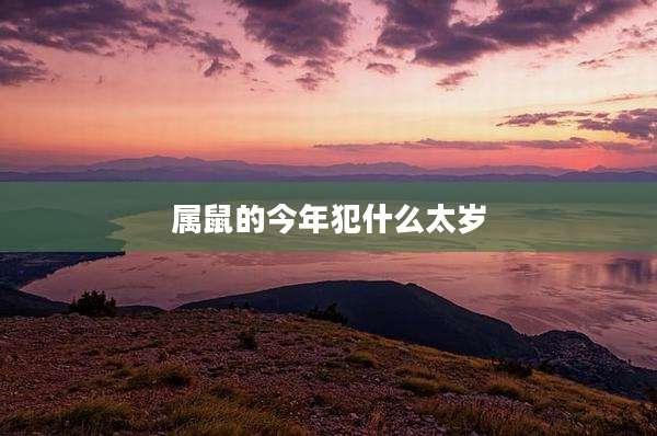 属鼠的今年犯什么太岁