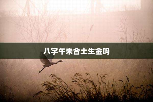 八字午未合土生金吗