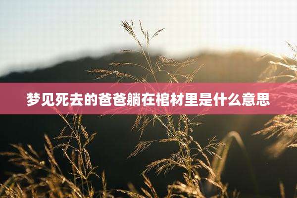 梦见死去的爸爸躺在棺材里是什么意思