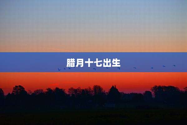 腊月十七出生