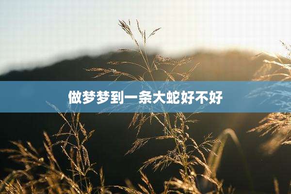 做梦梦到一条大蛇好不好