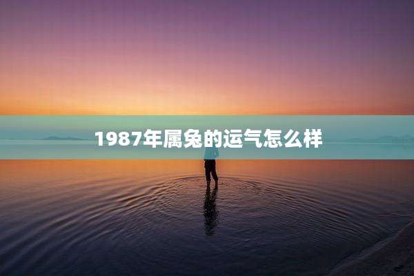 1987年属兔的运气怎么样