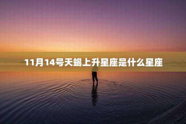 11月14号天蝎上升星座是什么星座