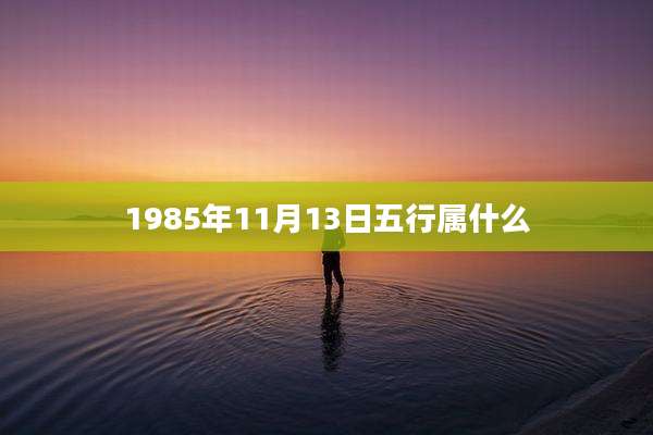 1985年11月13日五行属什么