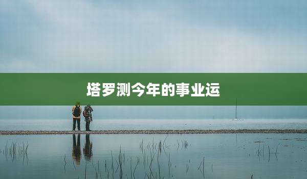 塔罗测今年的事业运