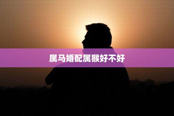 属马婚配属猴好不好