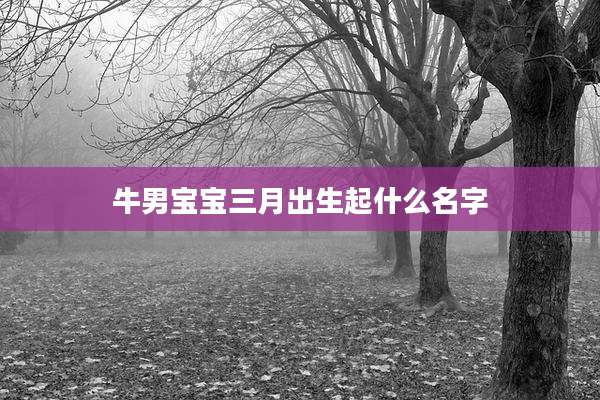 牛男宝宝三月出生起什么名字