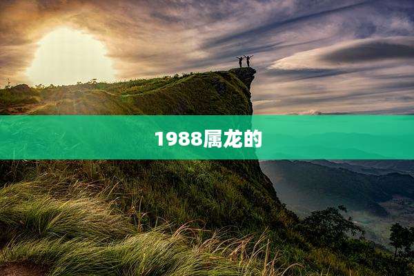 1988属龙的