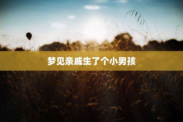 梦见亲戚生了个小男孩