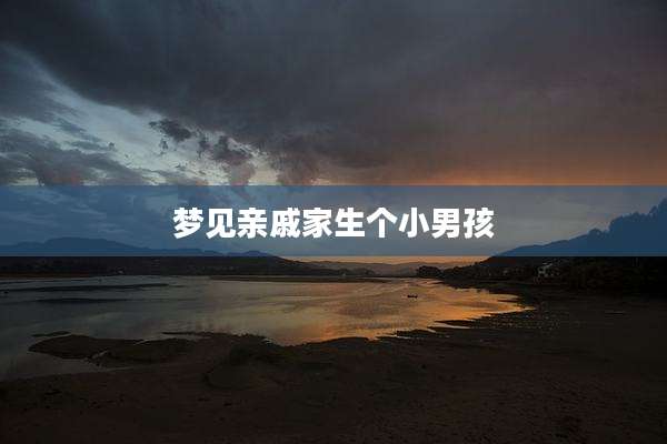 梦见亲戚家生个小男孩