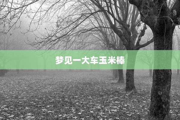 梦见一大车玉米棒