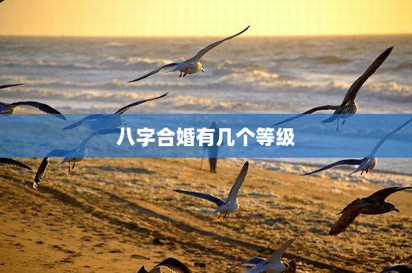 八字合婚有几个等级