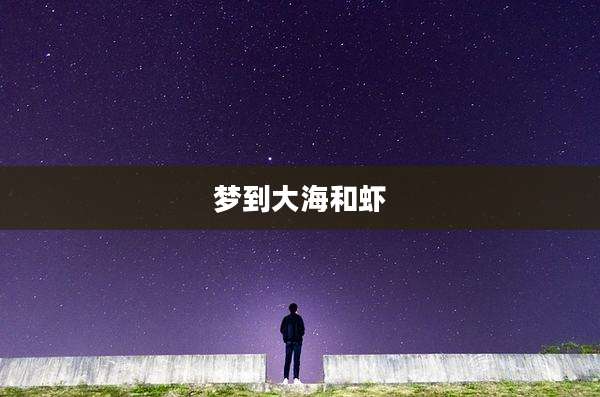 梦到大海和虾