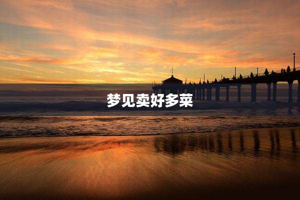 梦见卖好多菜