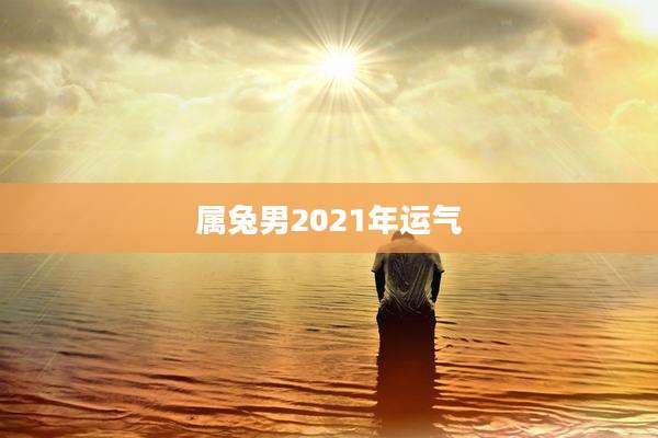 属兔男2021年运气