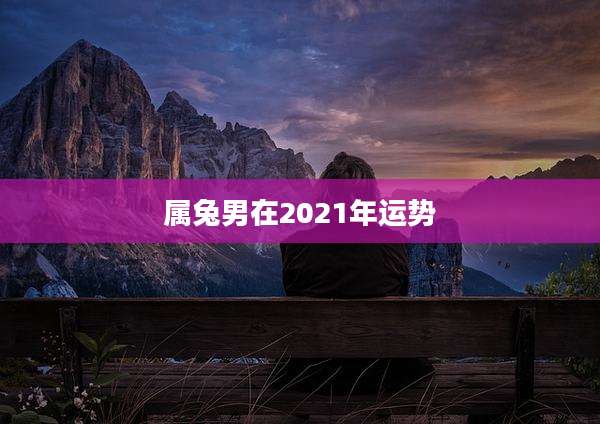 属兔男在2021年运势