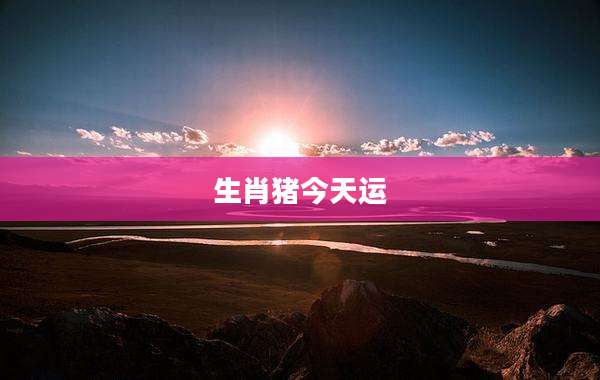 生肖猪今天运