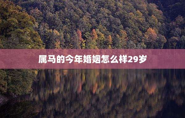 属马的今年婚姻怎么样29岁