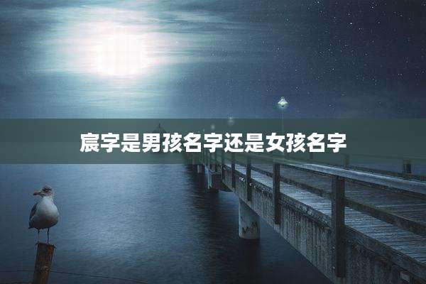 宸字是男孩名字还是女孩名字