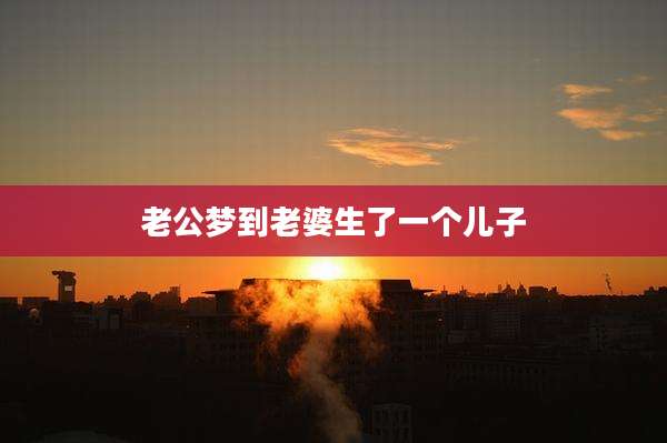 老公梦到老婆生了一个儿子