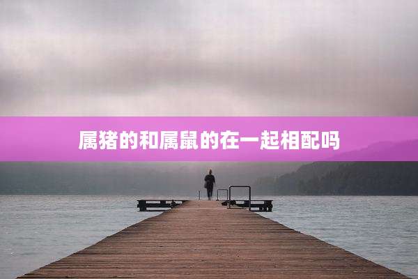 属猪的和属鼠的在一起相配吗