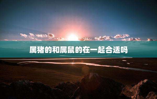 属猪的和属鼠的在一起合适吗