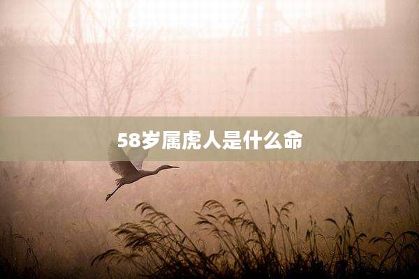 58岁属虎人是什么命