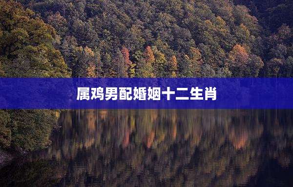 属鸡男配婚姻十二生肖