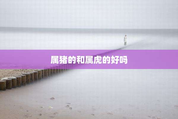 属猪的和属虎的好吗