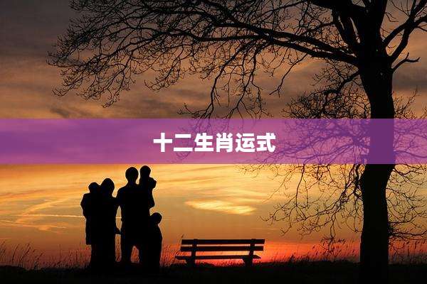 十二生肖运式