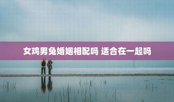 女鸡男兔婚姻相配吗 适合在一起吗