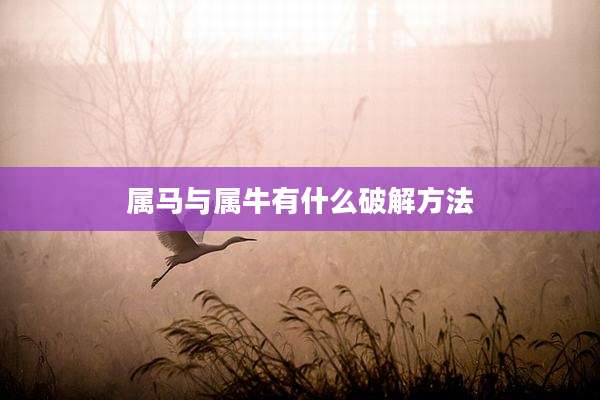 属马与属牛有什么破解方法