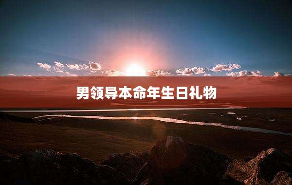 男领导本命年生日礼物