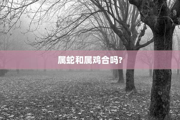 属蛇和属鸡合吗?